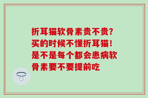 折耳猫软骨素贵不贵？买的时候不懂折耳猫！是不是每个都会患病软骨素要不要提前吃