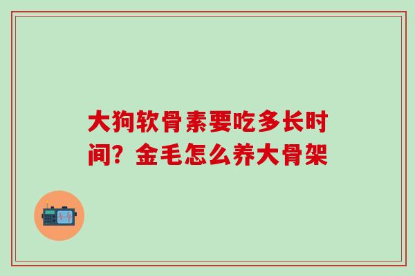 大狗软骨素要吃多长时间？金毛怎么养大骨架