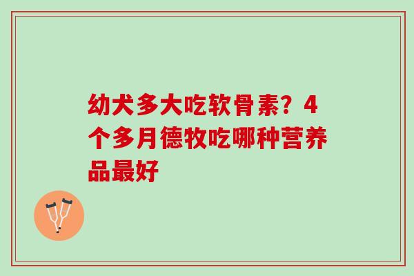 幼犬多大吃软骨素？4个多月德牧吃哪种营养品最好