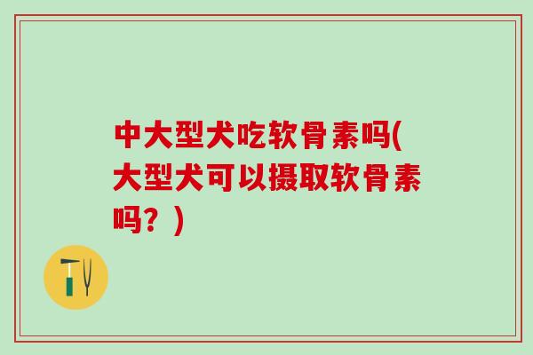 中大型犬吃软骨素吗(大型犬可以摄取软骨素吗？)