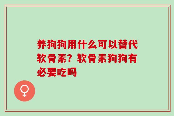 养狗狗用什么可以替代软骨素？软骨素狗狗有必要吃吗