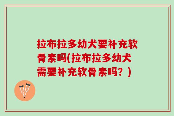拉布拉多幼犬要补充软骨素吗(拉布拉多幼犬需要补充软骨素吗?) 拉布拉多幼犬要补充软骨素吗(拉布拉多幼犬需要补充软骨素吗?)