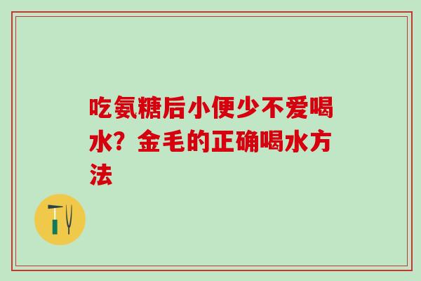 吃氨糖后小便少不爱喝水？金毛的正确喝水方法