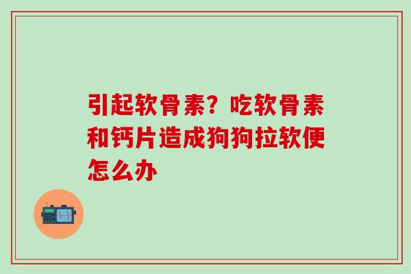 引起软骨素？吃软骨素和钙片造成狗狗拉软便怎么办