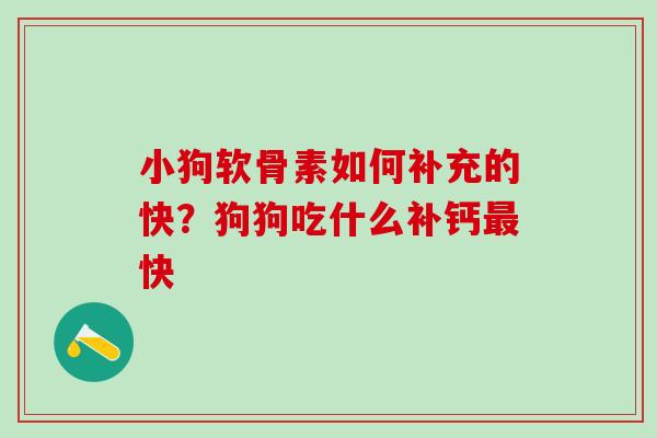 小狗软骨素如何补充的快？狗狗吃什么补钙最快