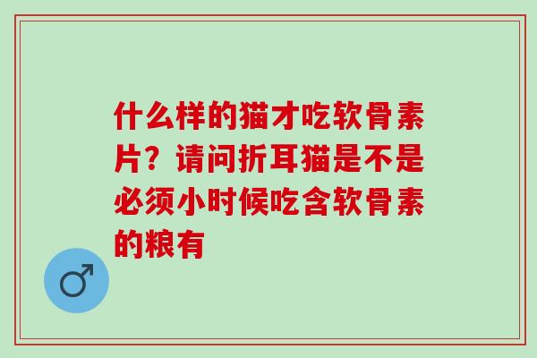 什么样的猫才吃软骨素片？请问折耳猫是不是必须小时候吃含软骨素的粮有