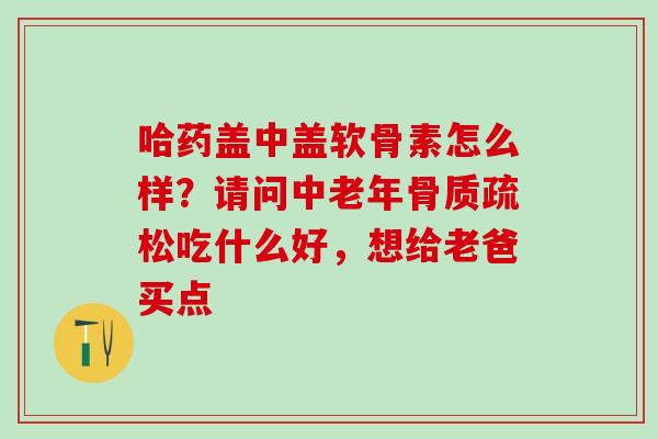 哈药盖中盖软骨素怎么样？请问中老年骨质疏松吃什么好，想给老爸买点