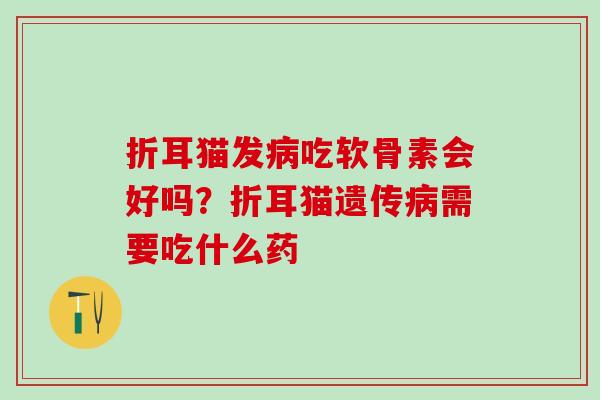 折耳猫发吃软骨素会好吗?折耳猫遗传需要吃什么药 折耳猫发吃软骨素会好吗?折耳猫遗传需要吃什么药