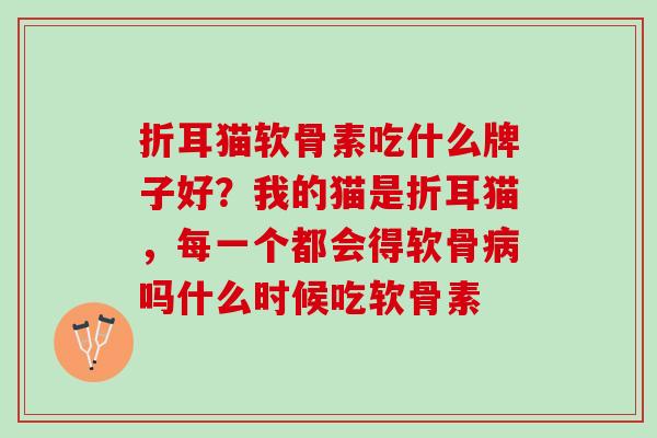 折耳猫软骨素吃什么牌子好？我的猫是折耳猫，每一个都会得软骨吗什么时候吃软骨素
