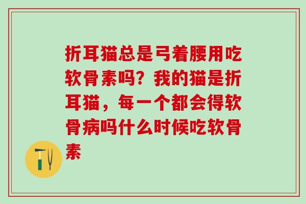 折耳猫总是弓着腰用吃软骨素吗？我的猫是折耳猫，每一个都会得软骨吗什么时候吃软骨素