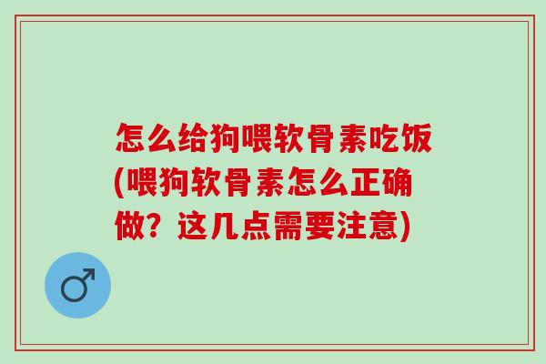怎么给狗喂软骨素吃饭(喂狗软骨素怎么正确做？这几点需要注意)