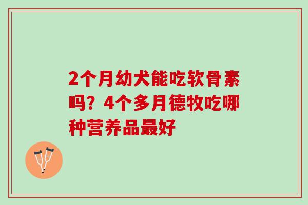 2个月幼犬能吃软骨素吗？4个多月德牧吃哪种营养品最好