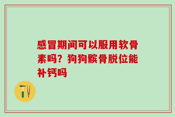 期间可以服用软骨素吗？狗狗髌骨脱位能补钙吗
