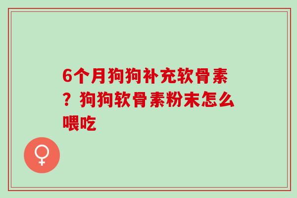 6个月狗狗补充软骨素？狗狗软骨素粉末怎么喂吃