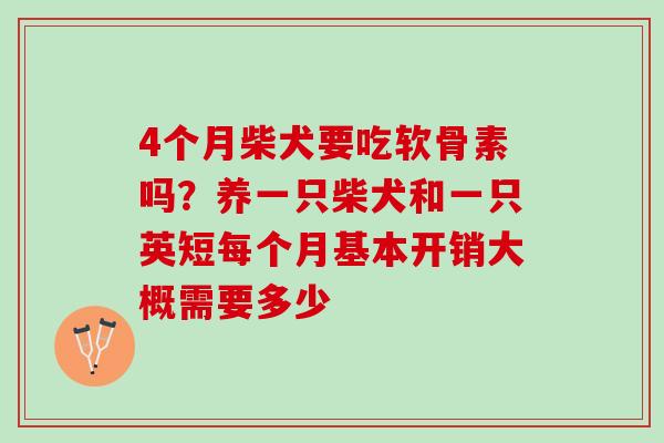 4个月柴犬要吃软骨素吗？养一只柴犬和一只英短每个月基本开销大概需要多少