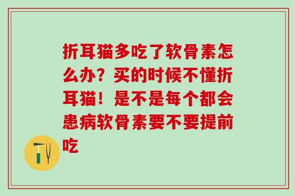 折耳猫多吃了软骨素怎么办?买的时候不懂折耳猫!是不是每个都会患软骨素要不要提前吃 折耳猫多吃了软骨素怎么办?买的时候不懂折耳猫!是不是每个都会患软骨素要不要提前吃