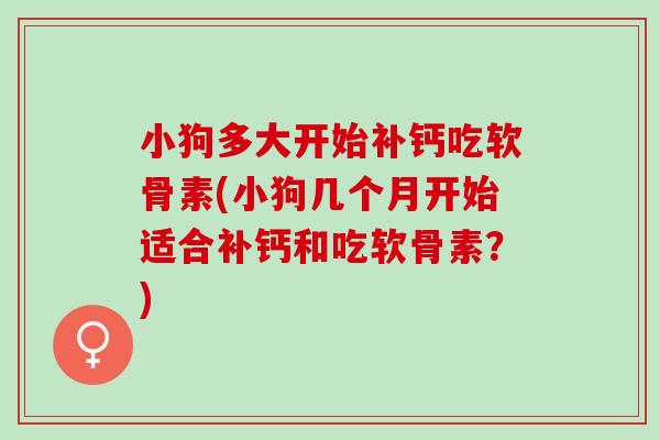 小狗多大开始补钙吃软骨素(小狗几个月开始适合补钙和吃软骨素？)