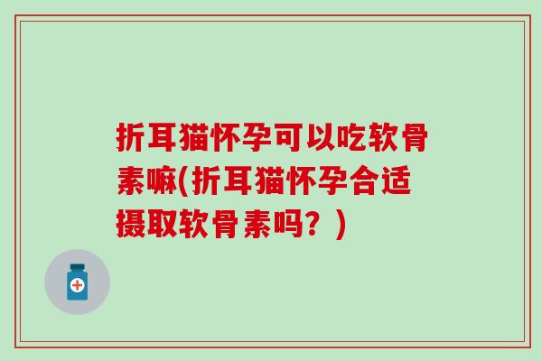 折耳猫怀孕可以吃软骨素嘛(折耳猫怀孕合适摄取软骨素吗？)