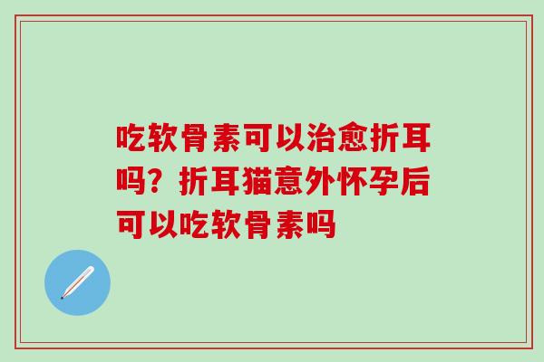 吃软骨素可以治愈折耳吗？折耳猫意外怀孕后可以吃软骨素吗