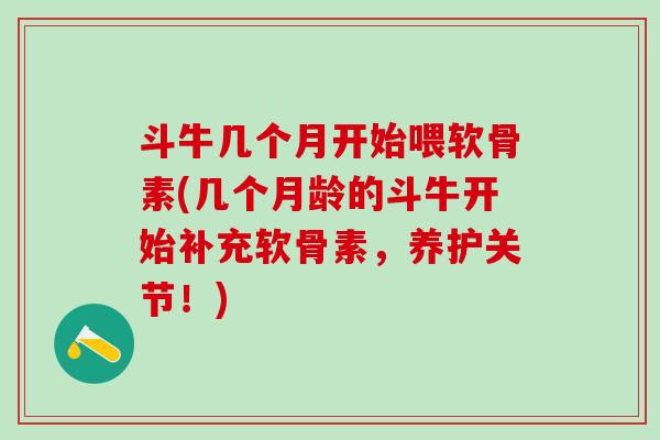 斗牛几个月开始喂软骨素(几个月龄的斗牛开始补充软骨素，养护关节！)