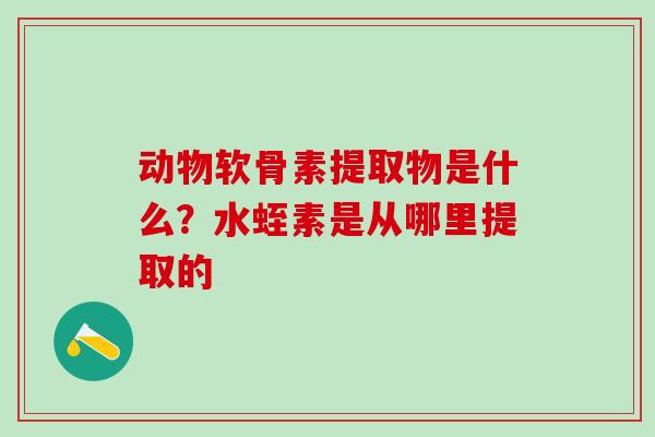 动物软骨素提取物是什么？水蛭素是从哪里提取的