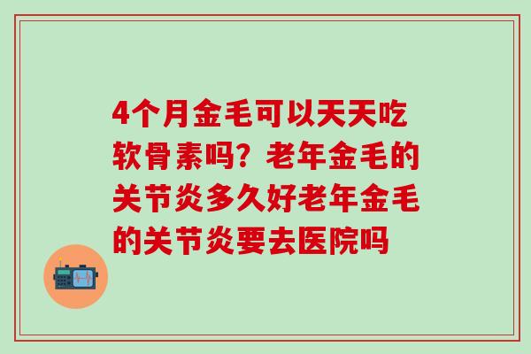 4个月金毛可以天天吃软骨素吗？老年金毛的关节炎多久好老年金毛的关节炎要去医院吗