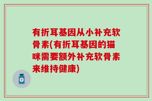 有折耳基因从小补充软骨素(有折耳基因的猫咪需要额外补充软骨素来维持健康)