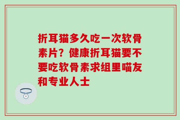 折耳猫多久吃一次软骨素片？健康折耳猫要不要吃软骨素求组里喵友和专业人士