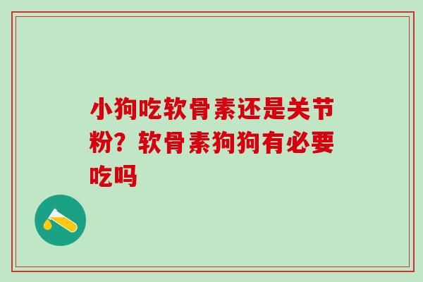 小狗吃软骨素还是关节粉？软骨素狗狗有必要吃吗