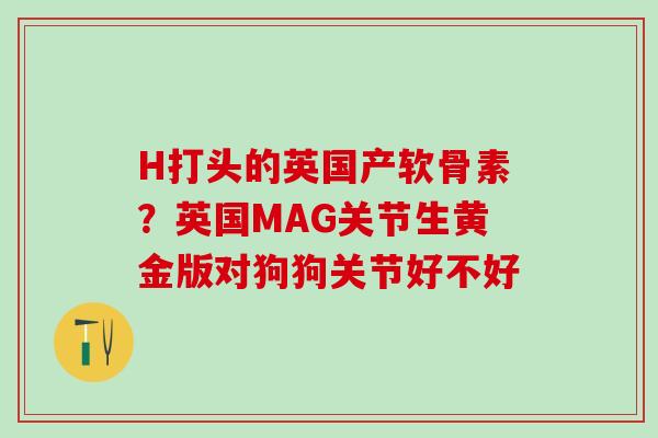 H打头的英国产软骨素？英国MAG关节生黄金版对狗狗关节好不好