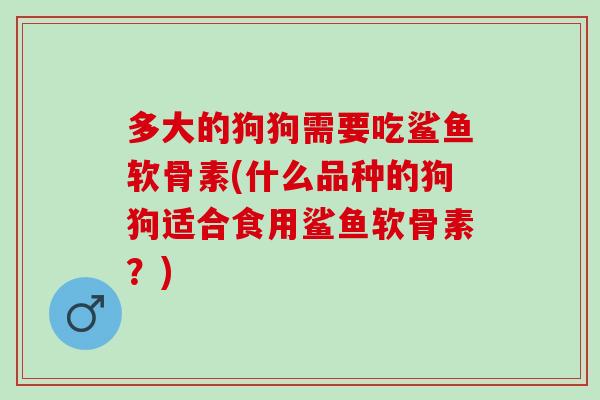 多大的狗狗需要吃鲨鱼软骨素(什么品种的狗狗适合食用鲨鱼软骨素？)