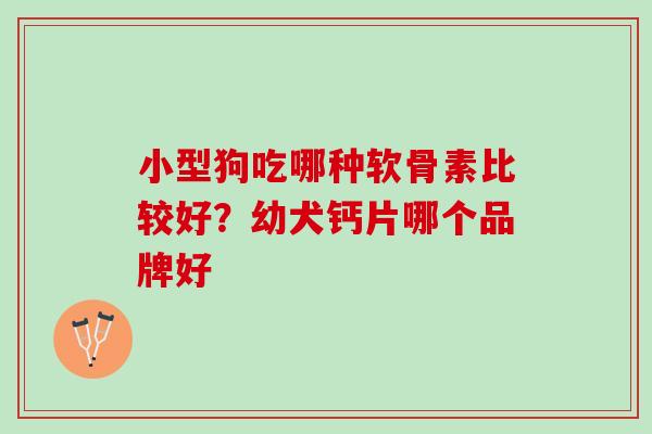 小型狗吃哪种软骨素比较好？幼犬钙片哪个品牌好