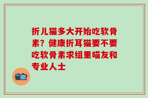 折儿猫多大开始吃软骨素？健康折耳猫要不要吃软骨素求组里喵友和专业人士