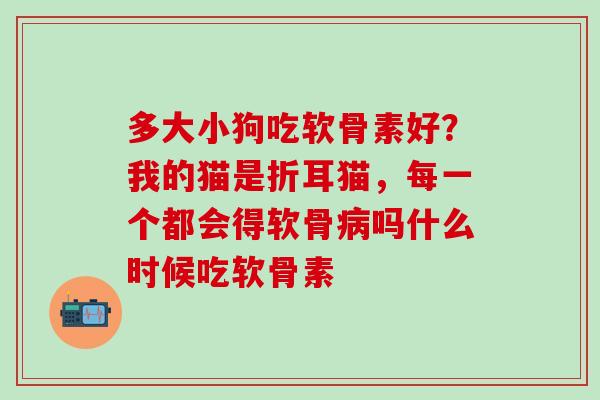 多大小狗吃软骨素好？我的猫是折耳猫，每一个都会得软骨病吗什么时候吃软骨素