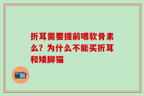折耳需要提前喂软骨素么？为什么不能买折耳和矮脚猫