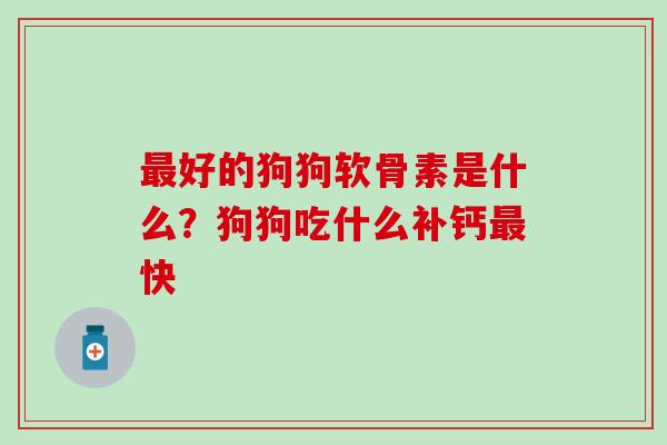 好的狗狗软骨素是什么？狗狗吃什么补钙快