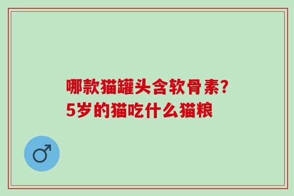 哪款猫罐头含软骨素？5岁的猫吃什么猫粮