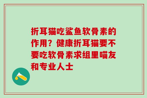 折耳猫吃鲨鱼软骨素的作用？健康折耳猫要不要吃软骨素求组里喵友和专业人士