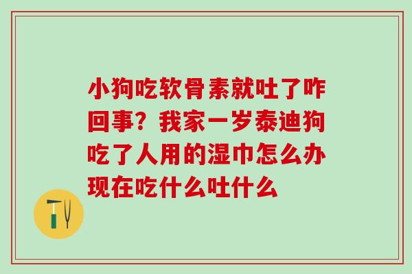 小狗吃软骨素就吐了咋回事？我家一岁泰迪狗吃了人用的湿巾怎么办现在吃什么吐什么