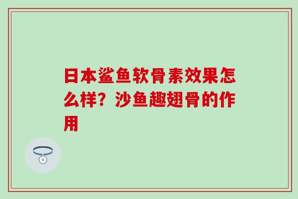 日本鲨鱼软骨素效果怎么样？沙鱼趣翅骨的作用