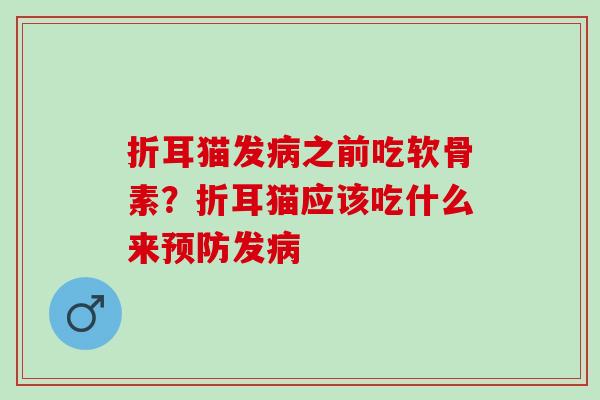 折耳猫发之前吃软骨素?折耳猫应该吃什么来发 折耳猫发之前吃软骨素?折耳猫应该吃什么来发