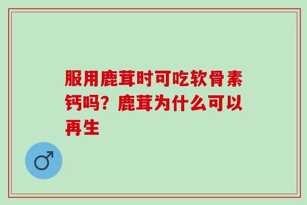 服用鹿茸时可吃软骨素钙吗？鹿茸为什么可以再生