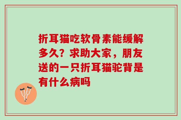 折耳猫吃软骨素能缓解多久?求助大家,朋友送的一只折耳猫驼背是有什么吗 折耳猫吃软骨素能缓解多久?求助大家,朋友送的一只折耳猫驼背是有什么吗