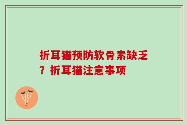 折耳猫软骨素缺乏?折耳猫注意事项 折耳猫软骨素缺乏?折耳猫注意事项