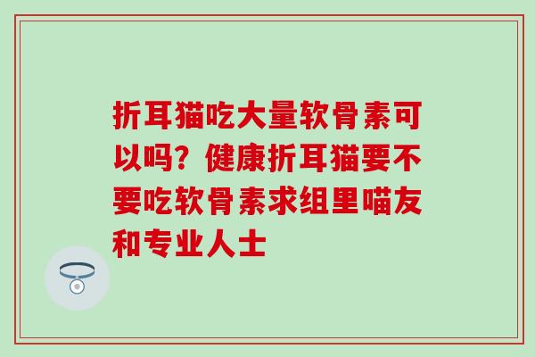 折耳猫吃大量软骨素可以吗？健康折耳猫要不要吃软骨素求组里喵友和专业人士