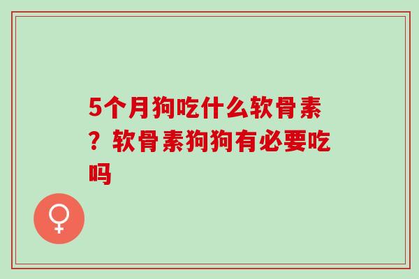 5个月狗吃什么软骨素？软骨素狗狗有必要吃吗