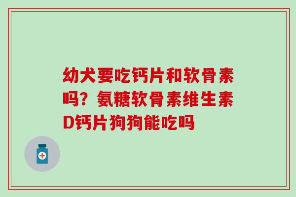 幼犬要吃钙片和软骨素吗？氨糖软骨素维生素D钙片狗狗能吃吗