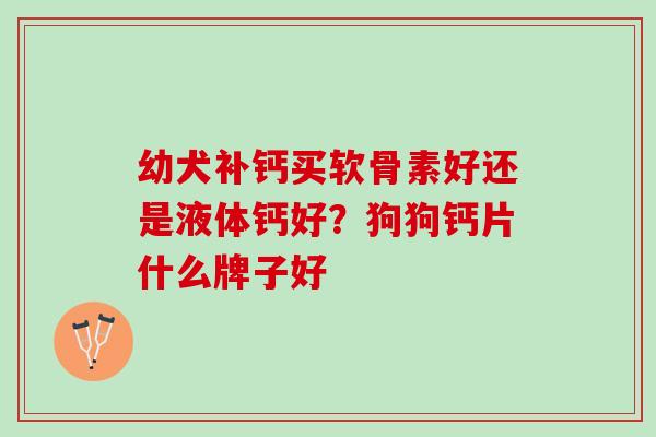 幼犬补钙买软骨素好还是液体钙好?狗狗钙片什么牌子好 幼犬补钙买软骨素好还是液体钙好?狗狗钙片什么牌子好