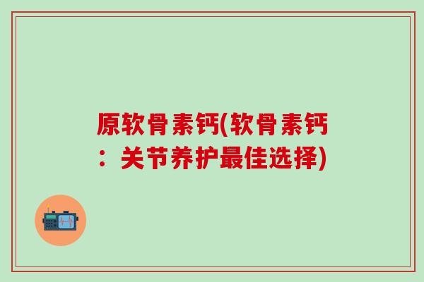 原软骨素钙(软骨素钙：关节养护最佳选择)