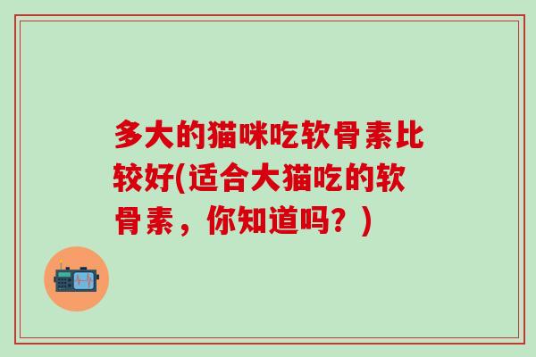 多大的猫咪吃软骨素比较好(适合大猫吃的软骨素，你知道吗？)